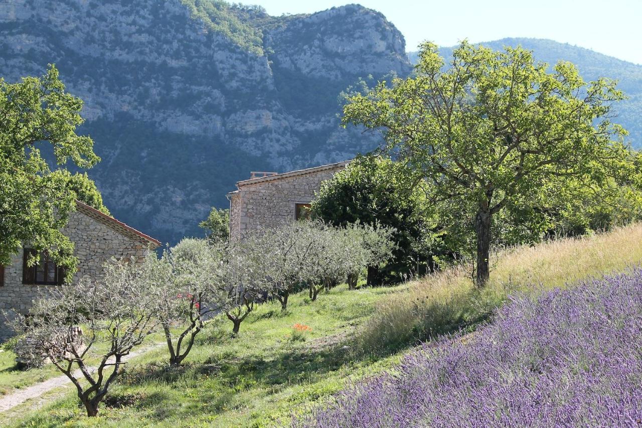 Entre Terre Et Ciel Bed and Breakfast Rémuzat Εξωτερικό φωτογραφία