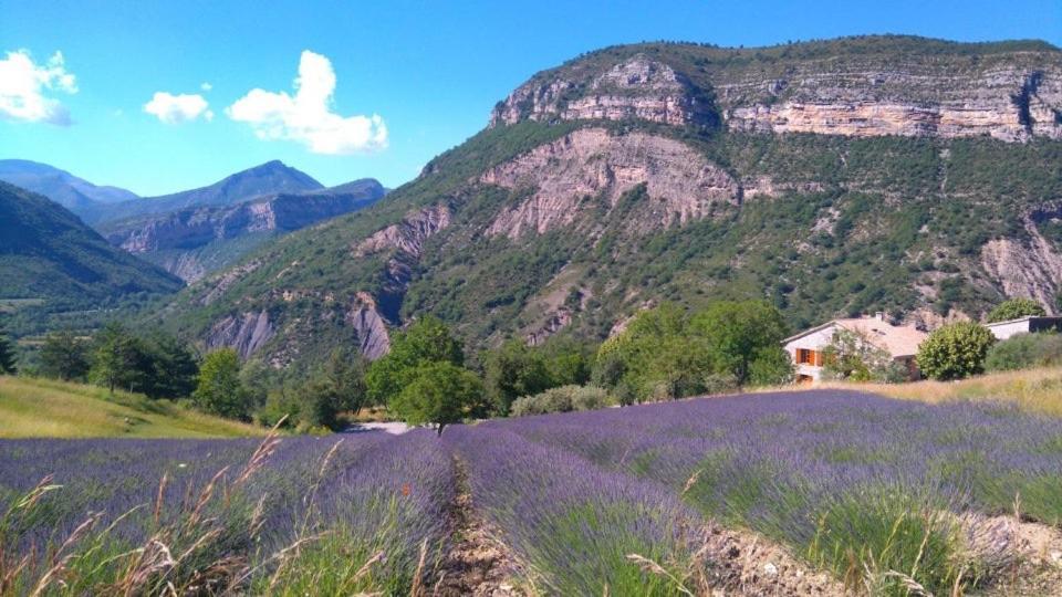Entre Terre Et Ciel Bed and Breakfast Rémuzat Εξωτερικό φωτογραφία